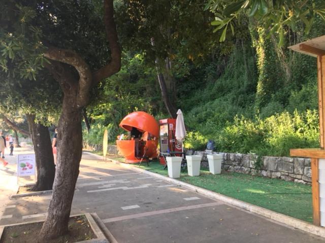 Apartment Simo Herceg Novi Ngoại thất bức ảnh