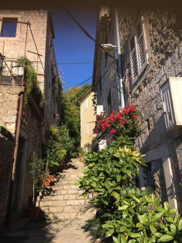 Apartment Simo Herceg Novi Ngoại thất bức ảnh