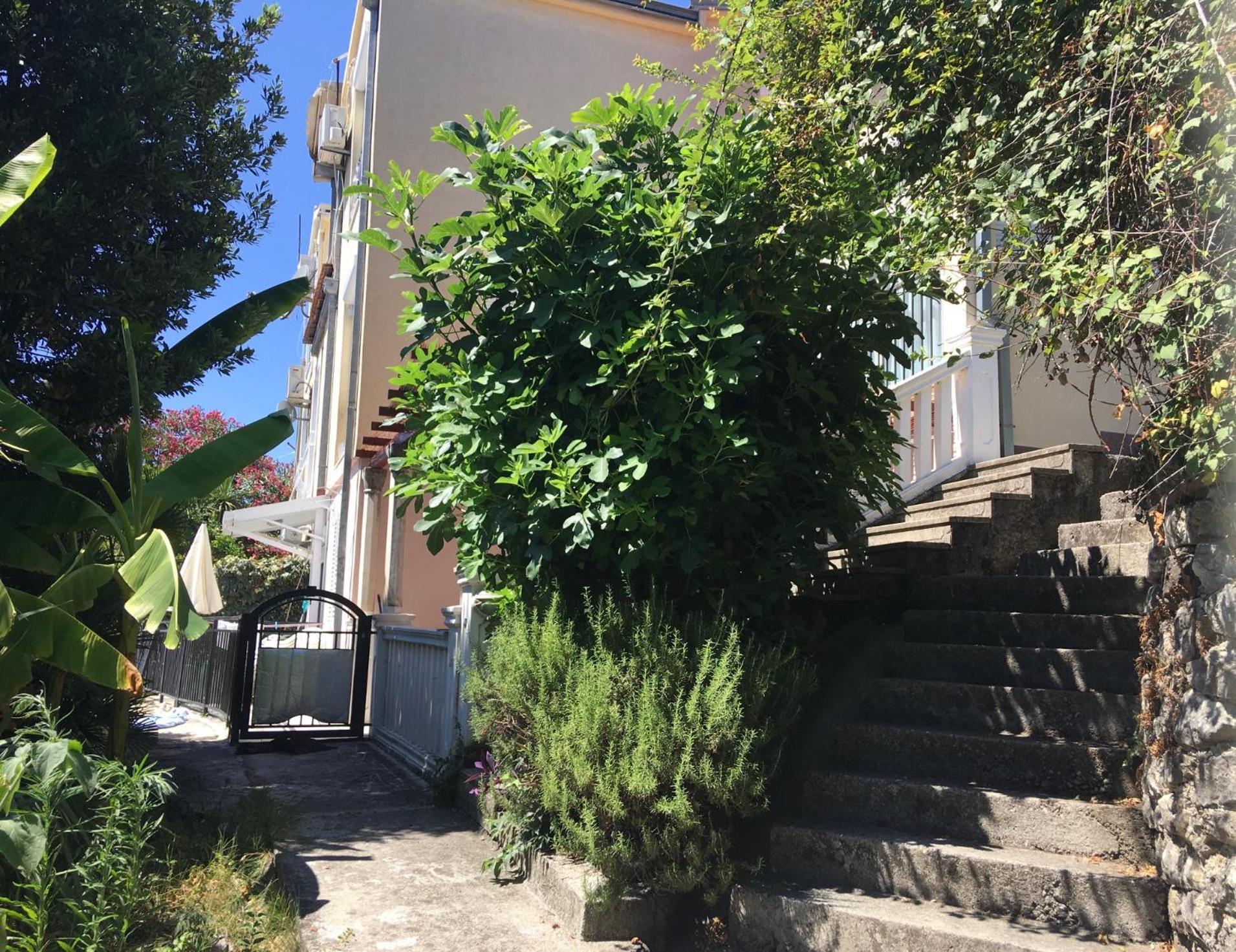 Apartment Simo Herceg Novi Ngoại thất bức ảnh